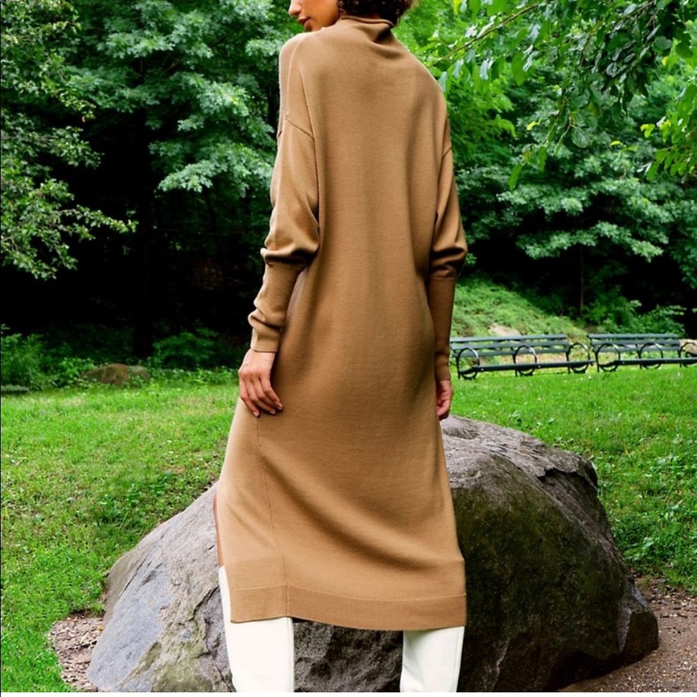 Aritzia “Cyprie” Sweater Dress View 2
